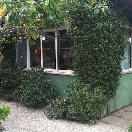 Villa Alviani Anna ซอร์เรนโต ภายนอก รูปภาพ