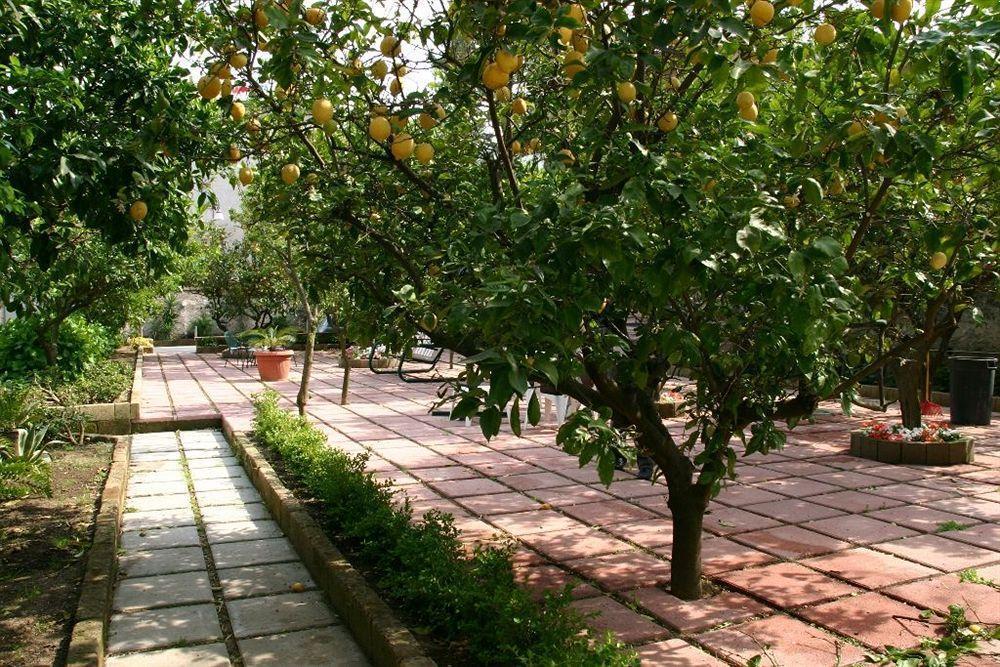Villa Alviani Anna ซอร์เรนโต ภายนอก รูปภาพ