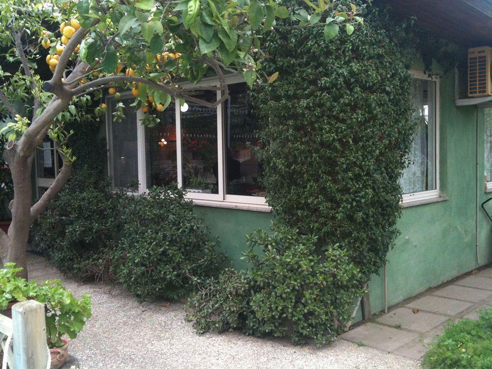 Villa Alviani Anna ซอร์เรนโต ภายนอก รูปภาพ